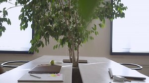 Professional Company Team Workers Open Laptops Stock Footage Video (100% Royalty-free) 1078577993 | Shutterstock