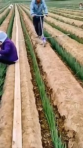 182K views · 628 reactions | This crazy idea of smart farmers working on the farm - - - #foryou #Chatgpt #MarkZuckerberg #reels #Hot #trending #viral | 90s Kids Only | Facebook