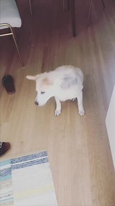 🔥 | Emily Kinney Our Queen