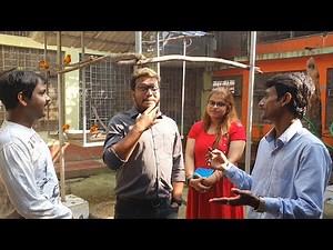 Hhy, How & What is Dna Testing Sexing Of Birds Details Information.