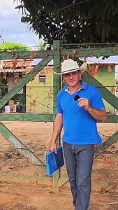 SÍTIO ESCRITURADO A VENDA. JAÍBA-MG. VALOR: 700.000 38- 99875-1677 | Robertoluna Vidanaroca