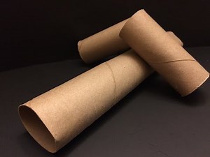 Can Cardboard Save a Garden? (Sheet Mulching and Pest Prevention)