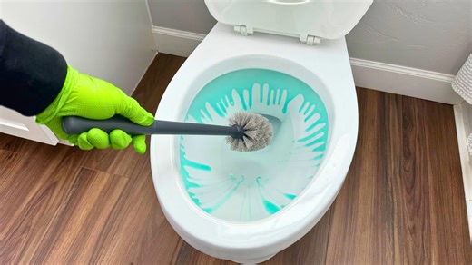 10 Things You NEED To Know About Cleaning Your Toilet!