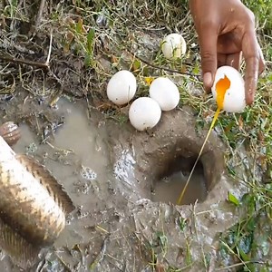 25K views · 194 reactions | Amazing :o | DIY Mouse Trap | Facebook