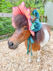 Fuschiania - Flower Fairy Hat for Miniature Horse - Etsy