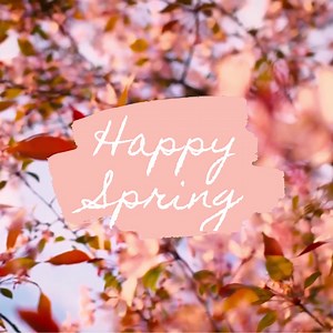 21 reactions |  Happy Spring  | National Association for Holistic Aromatherapy | Facebook