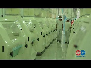GGI Golden Grain Harvestar Flour Mill