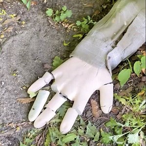 95K views · 295 reactions | Top hacks to stay safe and well-fed in the wilderness | Wood Mood | Facebook