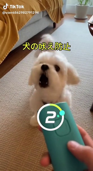 超音波吠え抑制装置で犬の吠え声を減らす方法