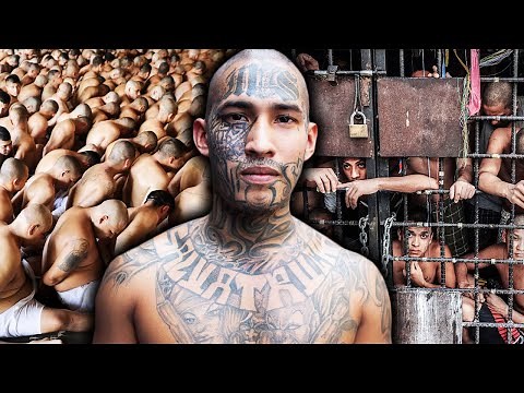 Inside The Life Of A MS-13 Gang Member