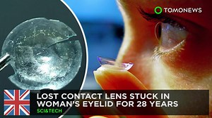 2.3K views · 31 shares | Found it! | TomoNews US | Facebook