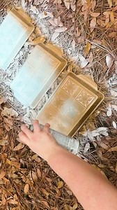 Everyone's buying Dollar Tree bins because of this stunning idea!