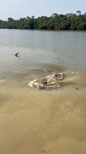 12M views · 10K reactions | O bicho era monstro #pesca #pescaria #fishing #fish #fishinglife | Pantanal Fishing | Facebook