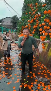 27K views · 151 reactions | Awesome fruit videos compilation for you    | UM Digos College - Legit Page | Facebook