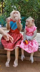 Princess 👸 YaYa clap 👏 clap 👏 | YaYa Note