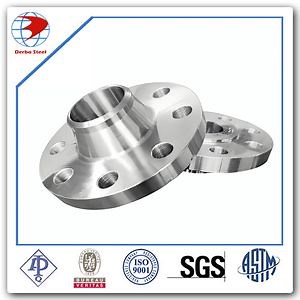 [Hot Item] Stainless Steel Blind Flange Wn Flange
