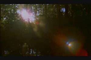 Used 2013 Tracker Pro Team 175 TXW, 70607 Lake Charles - Boat Trader