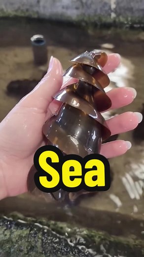 Lightning-Forged Glass Tube Found on Beach Worth a Fortune