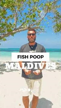 Benefits of fish poop?