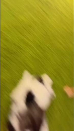 Stunning 😍 | Heavenly Bodies