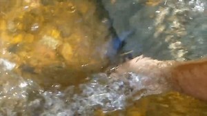 27K views · 984 reactions | River Treasure search after Historic Flooding in local rivers! #rivertreasure #mudlarking #history | Adventure Archaeology And Southern Diggers | Facebook