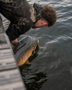 51K views · 476 reactions | Carp Fishing in the heart of Amsterdam  With over 60 miles of canals to traverse and no previous experience in the city, this was never going to be an easy endeavour. But with persistence, hard graft, and a knack for finding urban carp, Jacob was always going to make it Happen  #NashTackle #Nashbait | Nash Tackle | Facebook