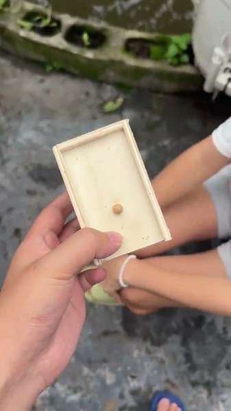 Prank spider box prank toys