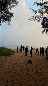 149K views · 1.1K reactions | রিসোর্ট থেকে ২ মিনিট দুরত্বে ঝাউ বনের...