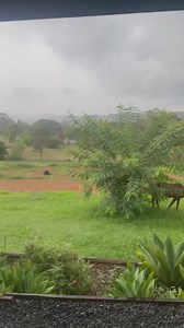 22K views · 385 reactions | Sent in by Emily | Brisbane Weather | Facebook