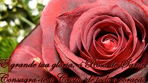 2.1K views · 49 reactions | Ó Rosa de saron Hino CCB | CCB- Jóia Preciosa | Facebook