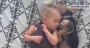 1.2K views · 34 reactions | Puppies Napping With Babies | Dubaicityinfo.com | Facebook