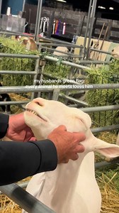 Every Animal He Meets Loves Him — Husband's Animal Green Flag