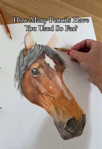 ✏️ More The Merrier! ✏️ 17 Used So Far.. With Others Soon Joining The Party 🎉 ❤️ Seeing as today is valentines. I thought I would give a little mention to my one true love.. coloured pencils 🤭 ✍🏻 If I had to choose just one to brand to use for the rest of my life it would be @fabercastellglobal polychromos. 🤔 Why? I just love how they feel when I draw. I adore their huge colour palette, their smoothness and blend ability. 👧 The problem is… my six year old daughter (budding artist, who is af