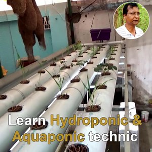 50K views · 287 shares | To watch Gardening, Craft & DIY, Bonsai, Vegetables related videos, stay connected with my page. | Nilkanta Halder, The Indian Gardener | Facebook