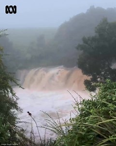 21K views · 185 reactions | Rocky Creek Falls is pumping this morning! The Bureau of meteorology recorded 214mm across the Dorrigo Ranges. | ABC Coffs Coast | Facebook