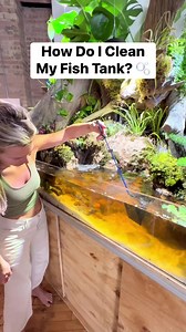 506K views · 3.4K reactions | How Do I Clean My Fish Tank? 﫧 | Aquarium Info | Facebook