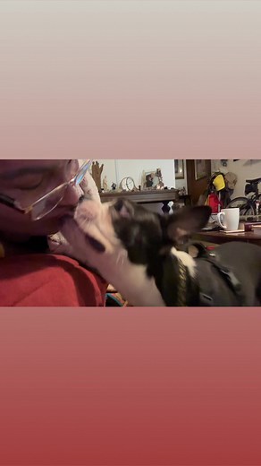 Otis will definitely show his displeasure if you do not give him his morning kisses | Dr. Lisa Christiansen | Facebook