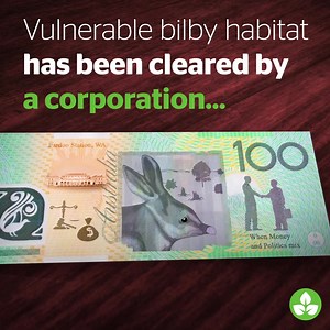 2.5K views · 1K reactions | After donating over $180,000 to political parties, Pardoo Beef Corporation was approved to clear 840 HECTARES of significant habitat. Sign the open letter to get dirty money out of politics. | Australian Conservation Foundation | Facebook