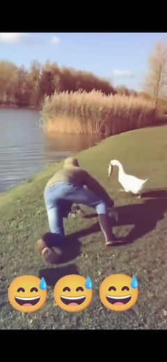 3.7K views · 112 reactions | Crazy Funniest Video Ever Recorded In...