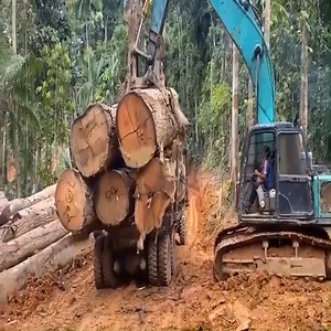 7.8K views · 69 reactions | Move the big wooden body onto the trailer Join group: Amazing World | Discover Real Life | Facebook