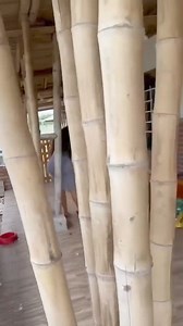 Poetry Cafe on Reels