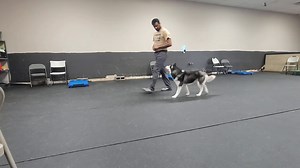 13 reactions | Walk with Me class is back! Leash Up for a Better...