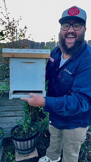 26K views · 126 reactions | Catching a Swarm of Bees! | Texas Garden Guy | Facebook