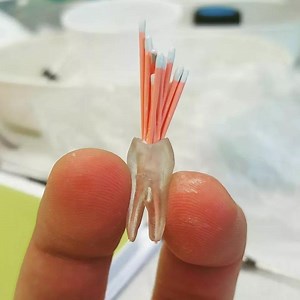 [Hot Item] High Quality Dental Gutta Percha Point 02 04 06 for Dental Treatment