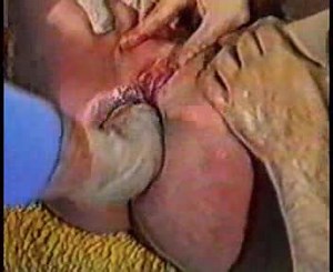 Extreme BDSM - Cruel Abuse
