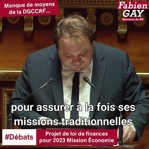 🔴 PLF 2023 / Mission économie 🔴 ➡ "La DGCCRF n'a pas les moyens pour assurer ses missions !" | Fabien Gay