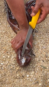 2.9M views · 5K reactions | 撚呂 #squid #crabs | The islander boys | Facebook