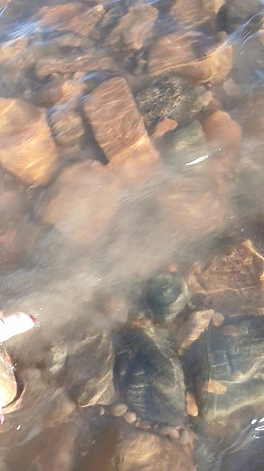 Left this one behind! Go find her ;) #lakehuron #Michigan #puddingstones #puddingstone | Gabrielle Pierson