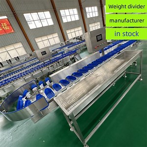 [Hot Item] Vegetable and Fruit Weight Sorting and Weight Balancing Machine for Quantitative Sorting