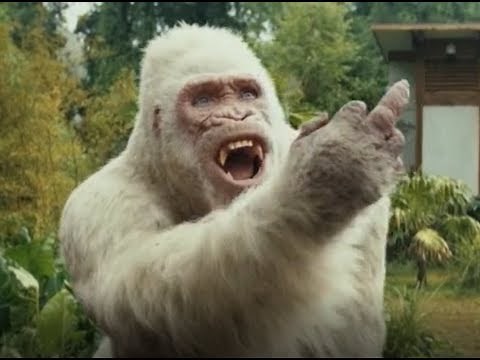 Rampage | George points middle finger at Davis Okoye